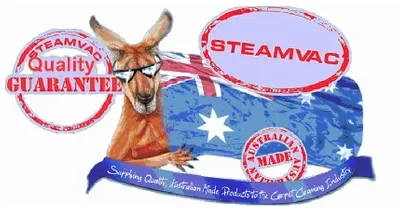 SteamVac
